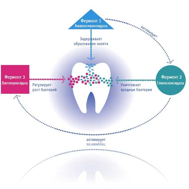 CURAPROX Зубная паста Enzycal 950, 75 мл. (с 6 лет)