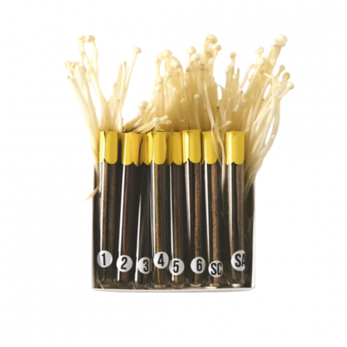 HYPNOSE, благовония, Семпл-сет (8 колб миниатюр)