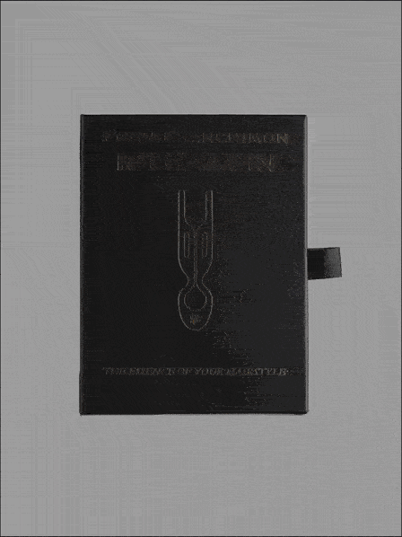 FIONA FRANCHIMON (№1 HAIRPIN), Шпильки карамельного цвета (набор из 3 шпилек)