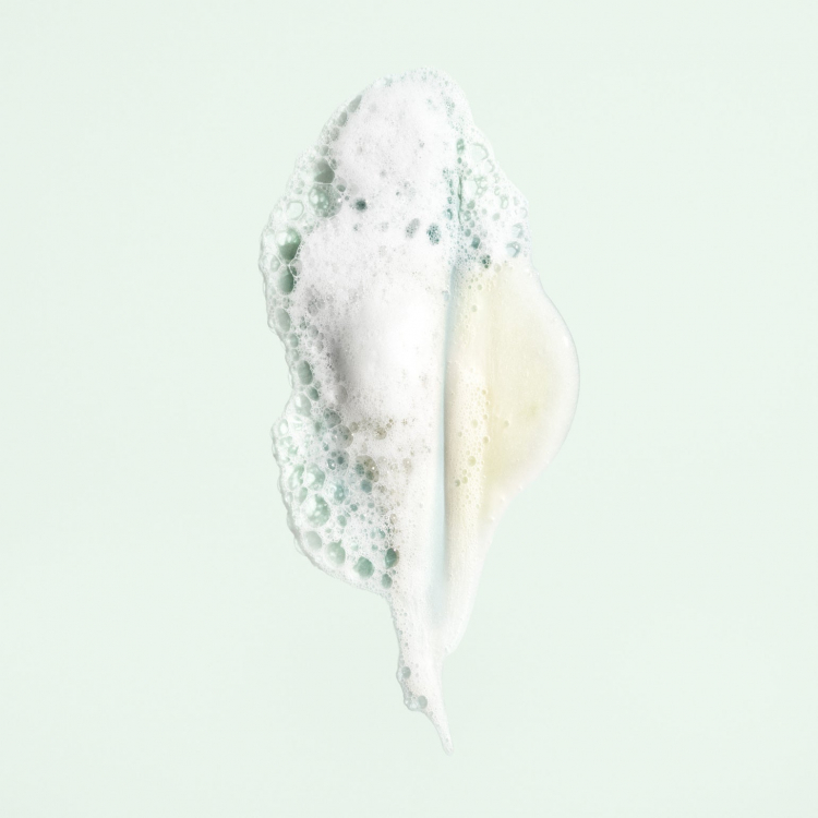 ORIBE, Шампунь для увлажнения и контроля "Источник красоты", 250 мл, Shampoo For Moisture & Control