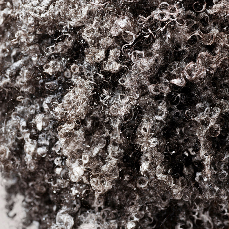 ORIBE, Шампунь для увлажнения и контроля "Источник красоты", 250 мл, Shampoo For Moisture & Control