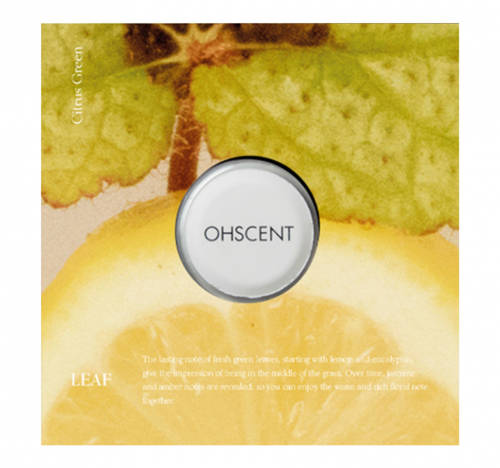 OHSCENT, LEAF Сменный блок аромата для авто (базилик, лимон, эвкалипт)